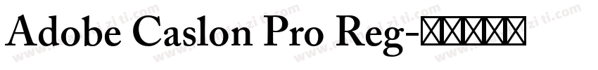 Adobe Caslon Pro Reg字体转换